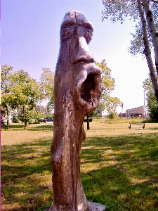 Big mouth funny face wood Photo