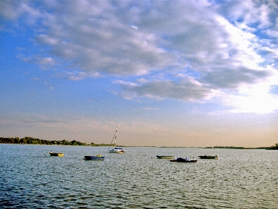 Boats fish fishing clear sky Photo