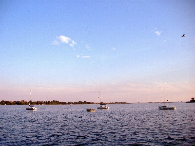 Boats float floating water Photo