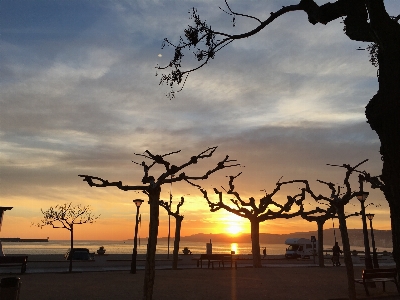 Mar sky tree branch Photo