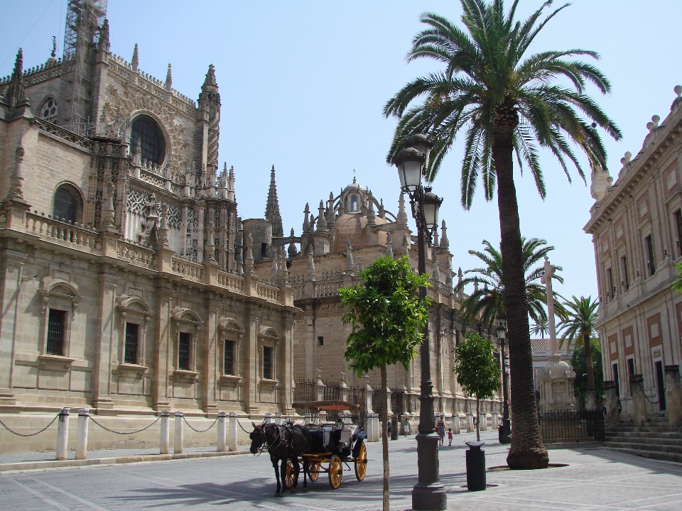 Spagna siviglia andalusia
 tempio