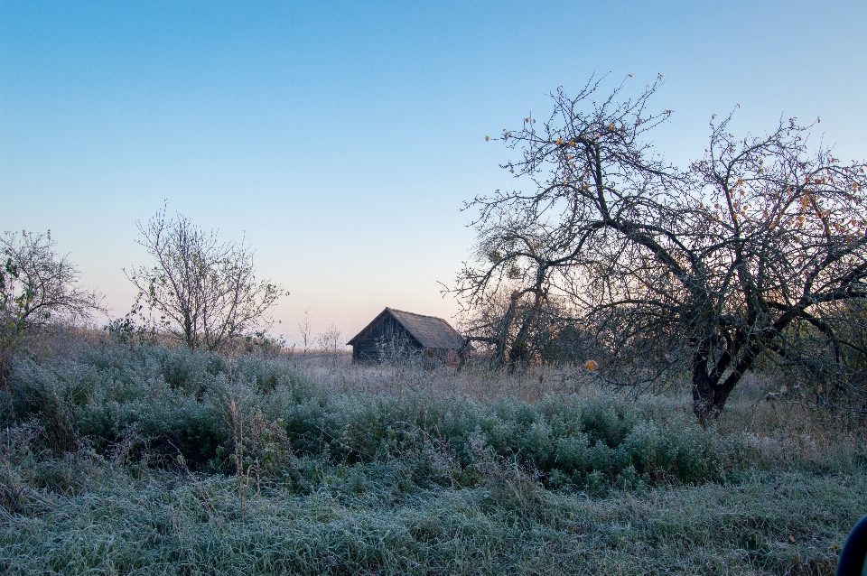 Sunrise frosty morning autumn