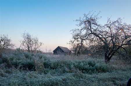 Sunrise frosty morning autumn Photo