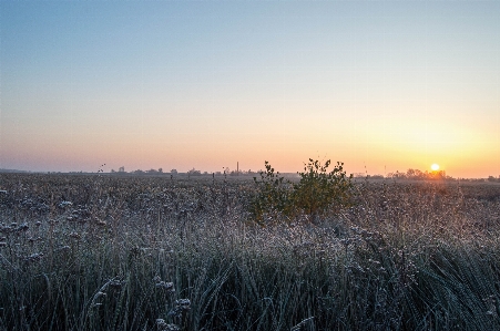 Sunlight sunrise frosty morning Photo