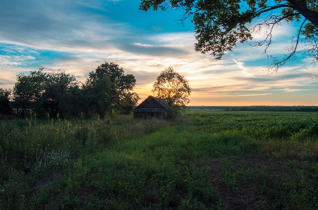 Village sunset barn tree Photo