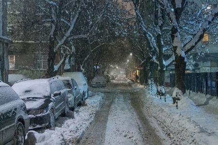 Snow winter night city Photo