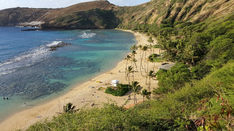 Spiaggia honolulu
 costa corpo d'acqua
