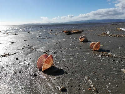 Foto Dublin
 à beira-mar prateleira nuvens