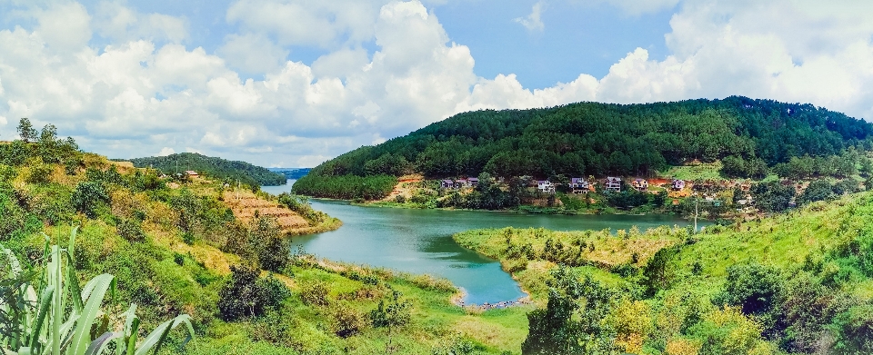 Paesaggio natura riserva naturale
 vegetazione