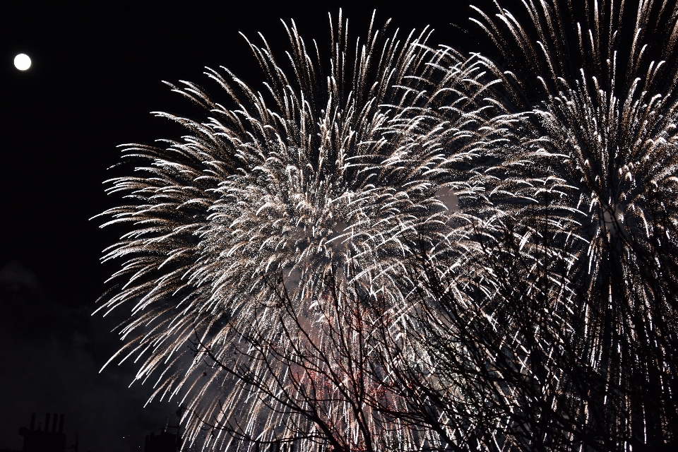 Fuegos artificiales feliz año nuevo
 nuevo