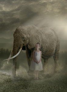 Girl elephant dust elephants and mammoths Photo