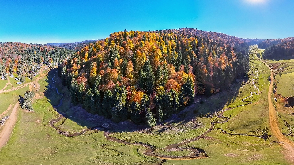 Autumn mountain nature tree