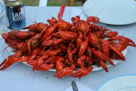 Crayfishes seafood cajun food boil Photo