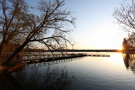 Landscape morning pier reflection Photo