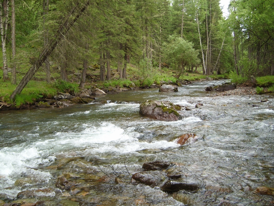 Stream wasser fluss wasserlauf
