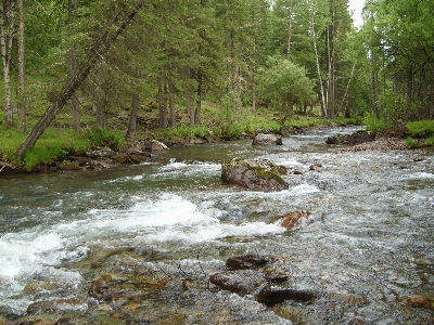 Stream water river watercourse Photo