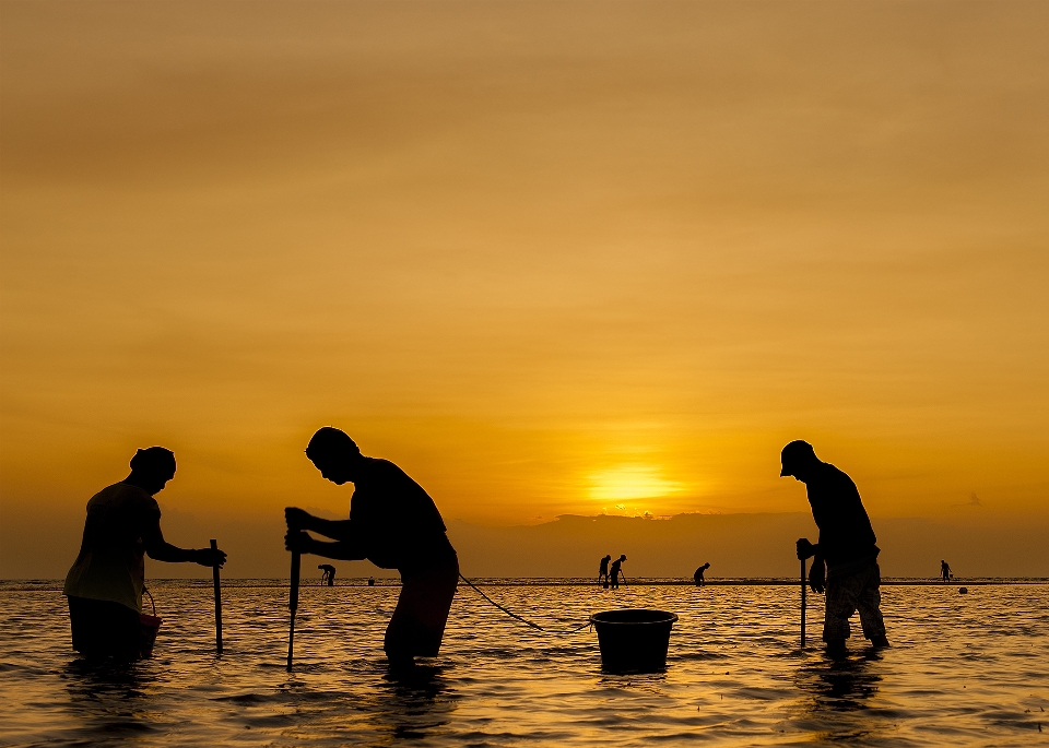 Pescador
 pôr do sol mar água