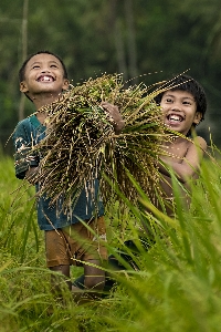 Happy kids grass plant Photo