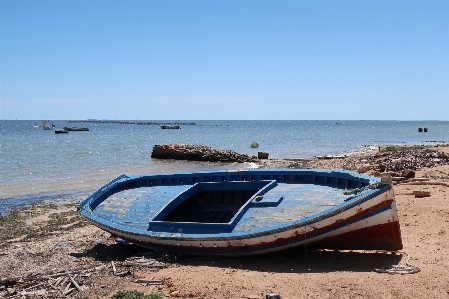 Small boat palm sea island Photo