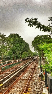 New york train station manhattan Photo