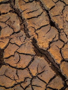 Abstract arid backdrop background Photo