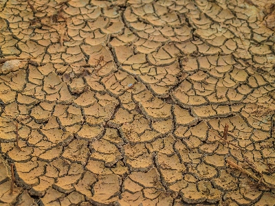 Abstract arid backdrop background Photo