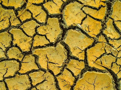 Abstract arid backdrop background Photo