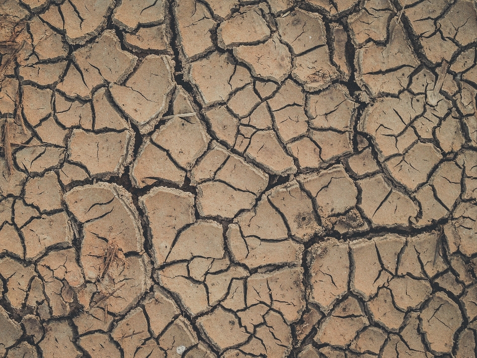 Abstract arid backdrop background