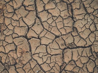 Abstract arid backdrop background Photo