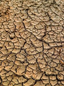 Abstract arid backdrop background Photo