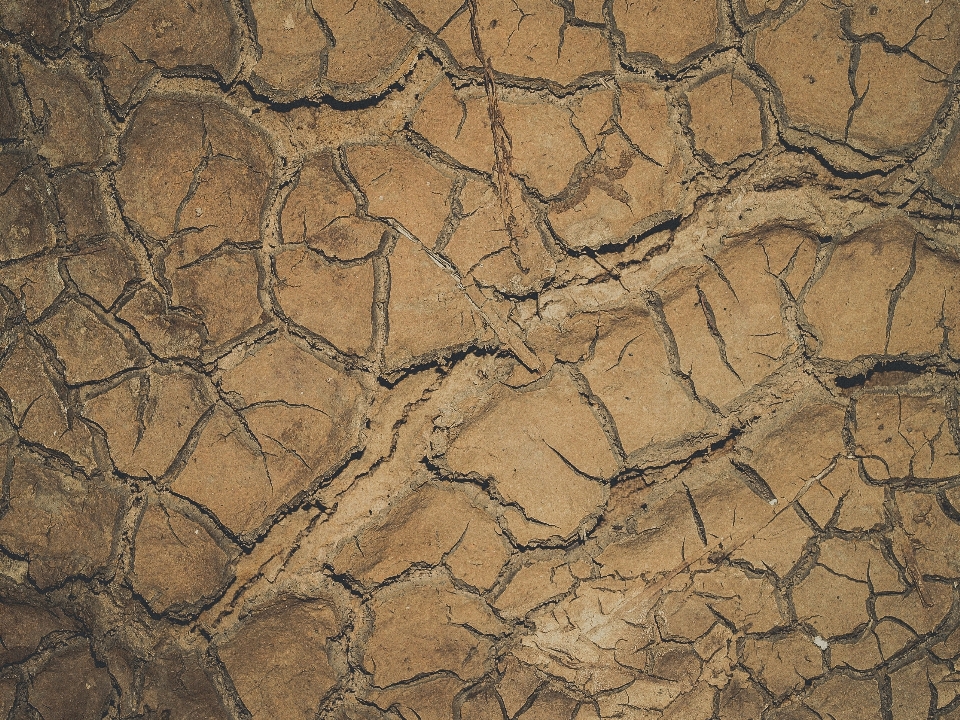 Abstract arid backdrop background