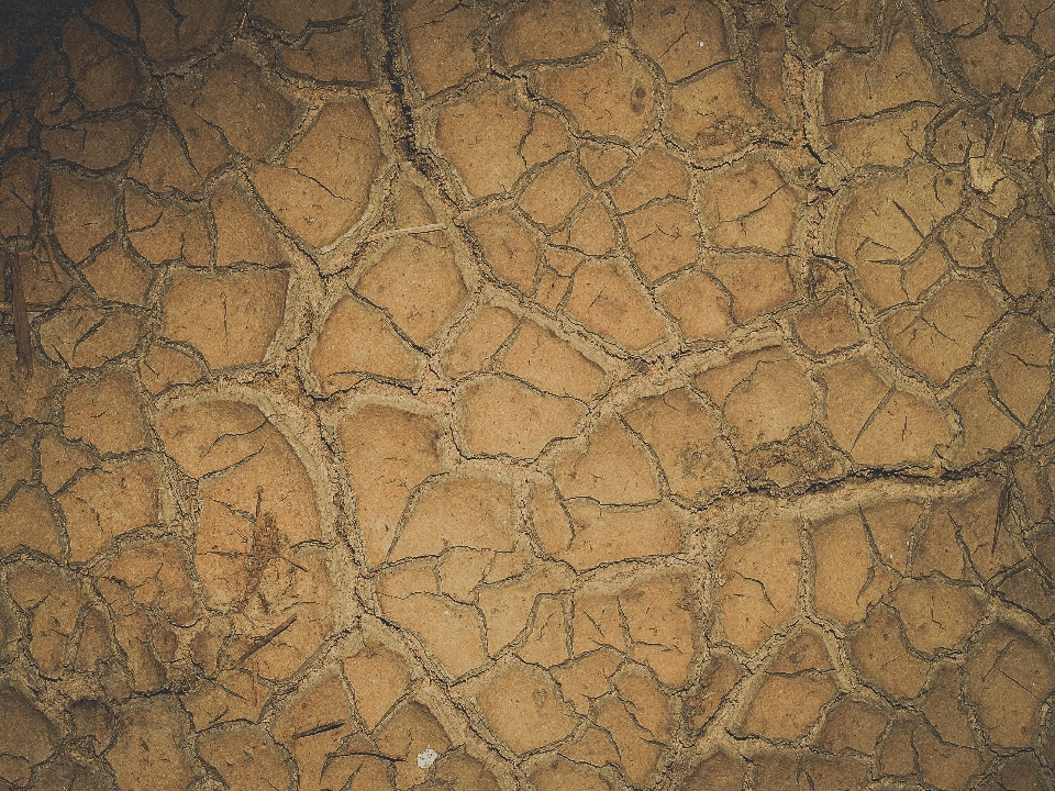 Abstract arid backdrop background