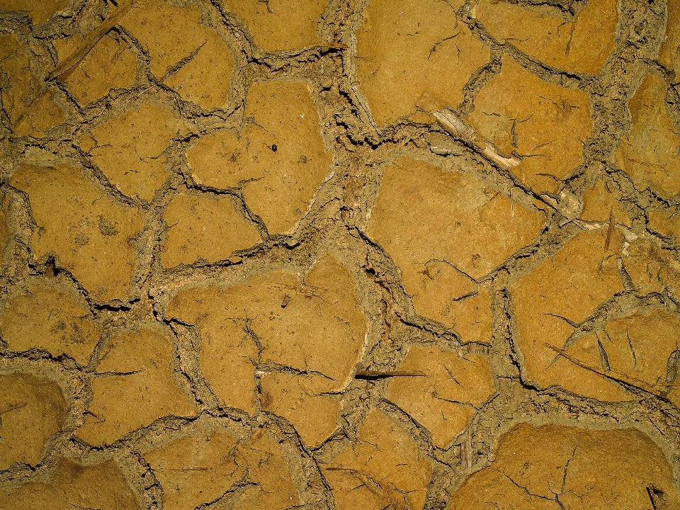 Abstract arid backdrop background