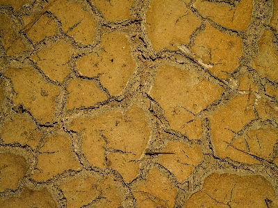 Abstract arid backdrop background Photo