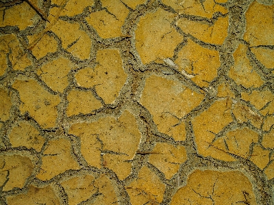 Abstract arid backdrop background Photo