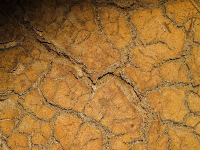 Abstract arid backdrop background Photo