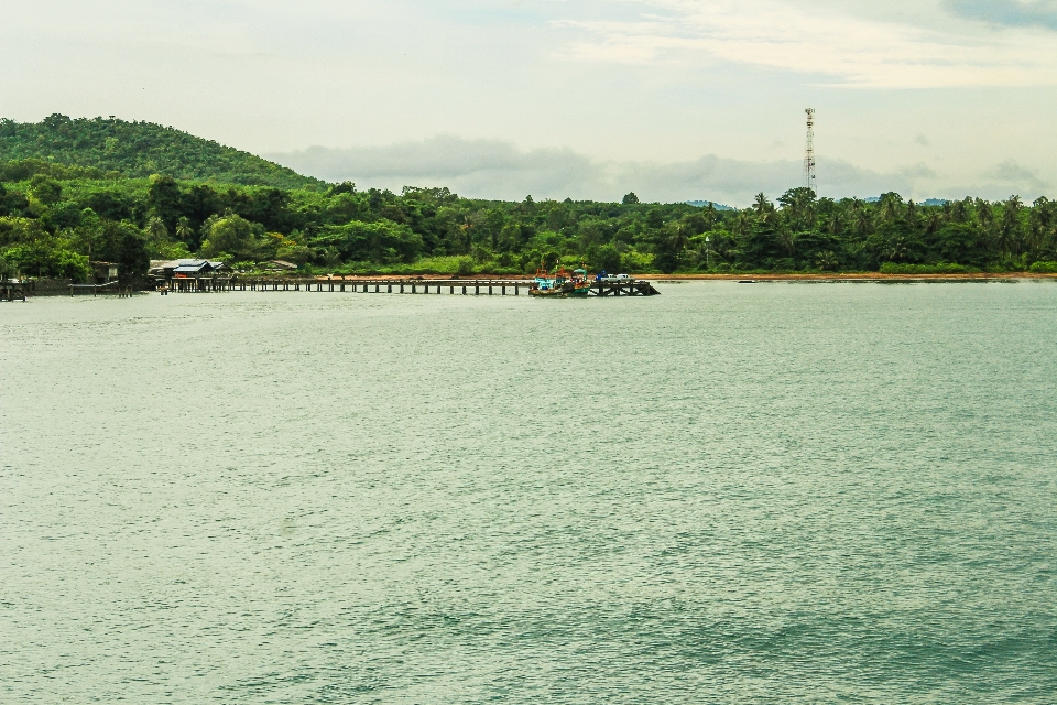 泰国 自然 热带 海