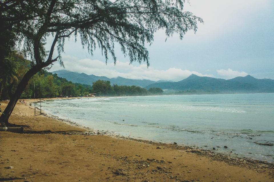 Thailand nature tropical sea