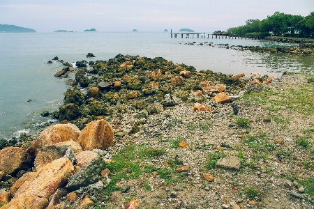 Thailand nature tropical sea Photo