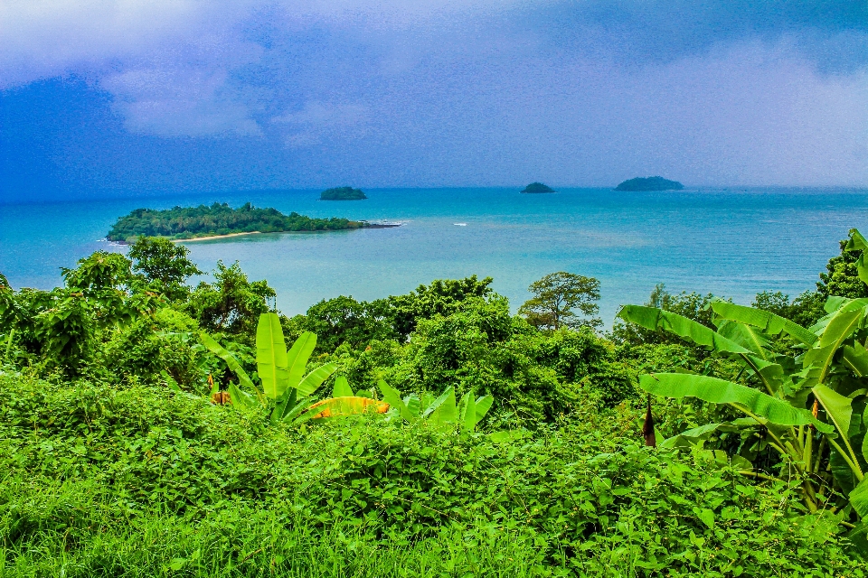 Thailand nature tropical sea