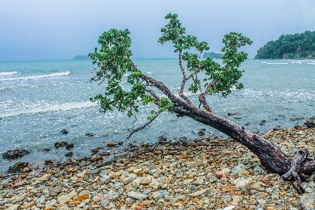 Thailand nature tropical sea Photo