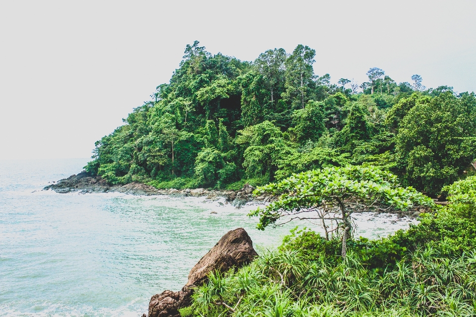 Thailand nature tropical sea