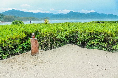 Thailand nature tropical sea Photo