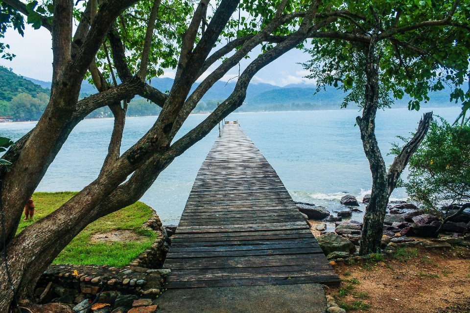 Thailand nature tropical sea