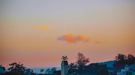 Foto Alam tanaman pohon langit