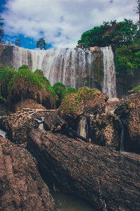 自然 風景 緑 日光 写真