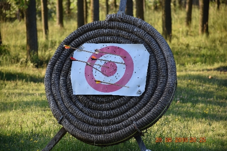 Archery target grass tire Photo