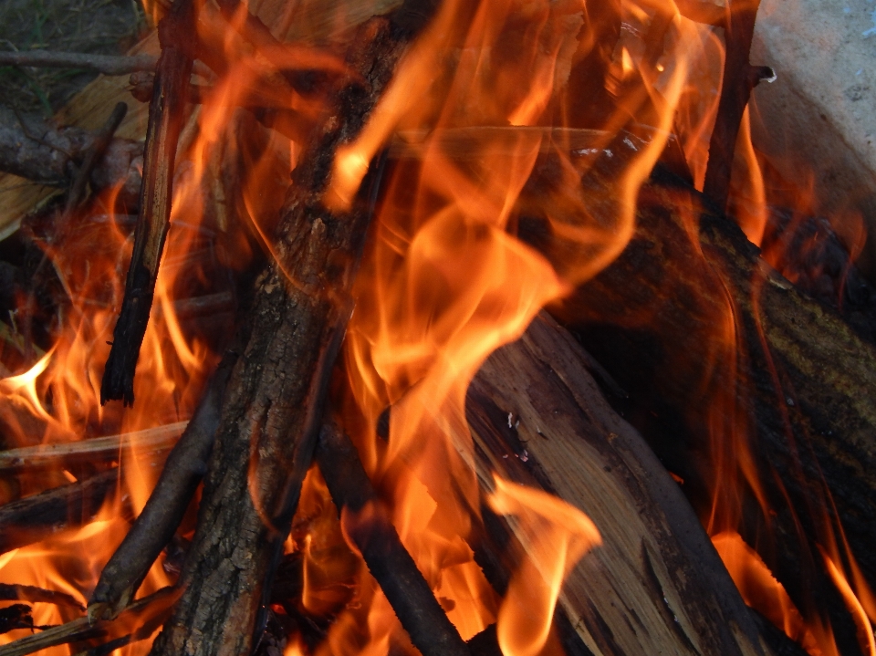 Api malam kayu bakar unggun