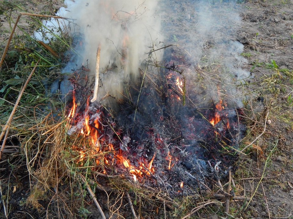 Fire night firewood bonfire