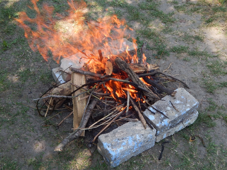 Fire night firewood bonfire